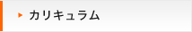 カリキュラム