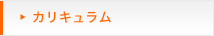 カリキュラム
